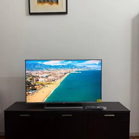 两只鸭子旅舍 *