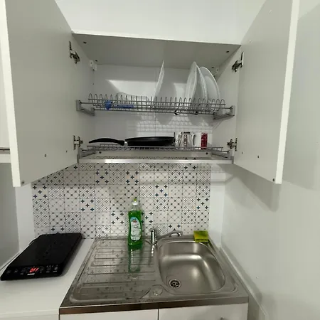 两只鸭子旅舍 *