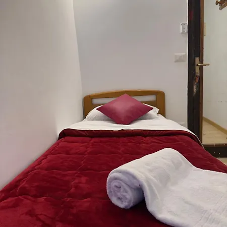 两只鸭子旅舍 旅馆 罗马