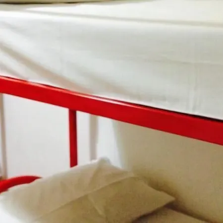 两只鸭子旅舍 旅馆 *