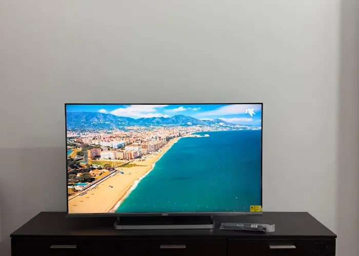 トゥー ダックス *